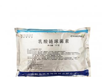 Estreptococona láctica de kehong